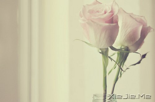 һ��һ�⣬������������������� (2)