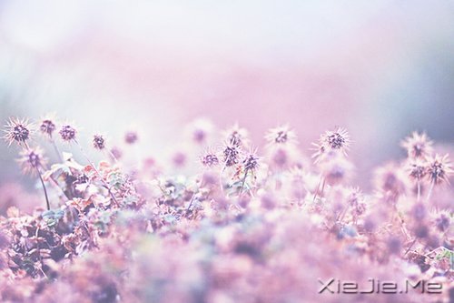 ������Ҳ������������� (7)