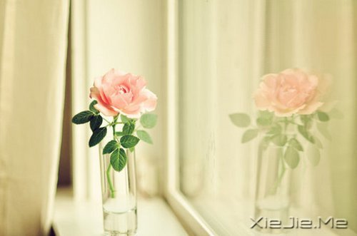 ѡ��������£�ڹ�Ϳ��������� (9)