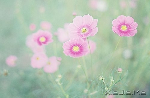 ��Ϊ֪�㣬���Ը��ӽ��Ҹ� (1)