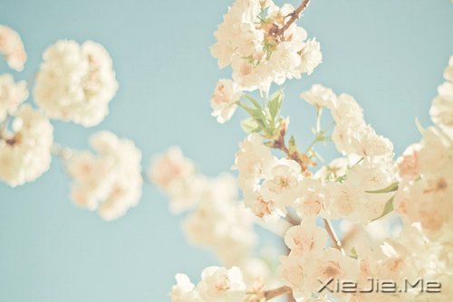 ��һ����������ʧȥ��60��Ŀ��� (7)