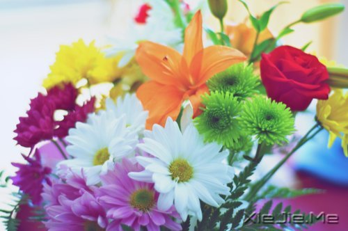 ��Ҫ���ű��˵Ľ�ӡ�����Լ���· (4)