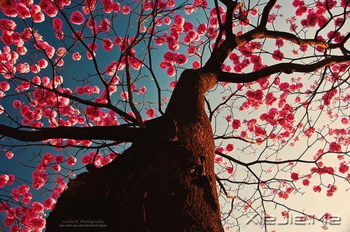 ��ν�Ҹ�������һЩ��֪������СƬ�� (5)