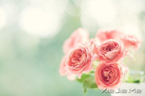 һ�����¹¶����������¹��� (1)