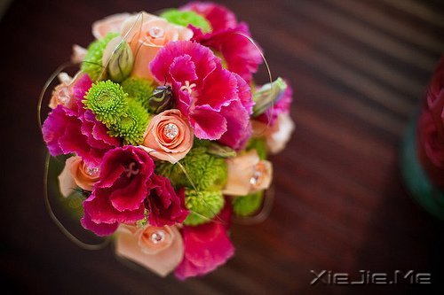 һ�����¹¶����������¹��� (9)