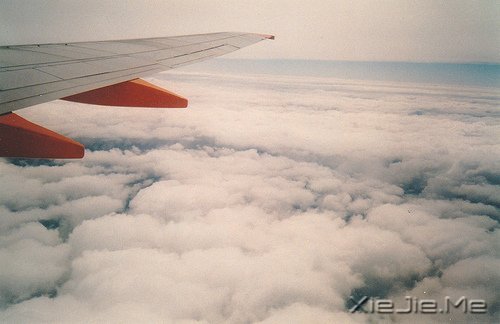 ���������;�У������Լ� (9)