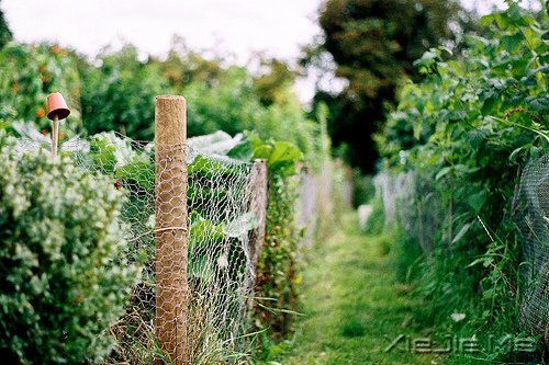 �簲����������Լ����ọ́���Ҫ��ɱ��� (3)