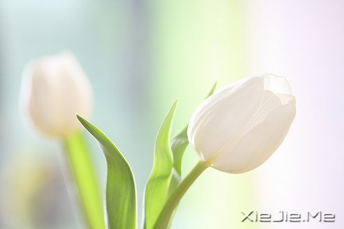 �簲����߽����·�������µ����� (9)