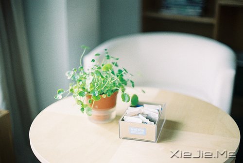 �簲�����Ը��ӣ����ֻ�ϲ (8)