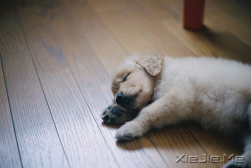 �簲����������ģ�����ʼ�� (6)