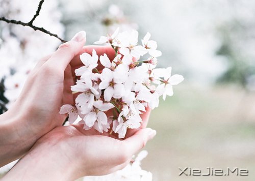 ��ʱ��Ķɿڣ����ǽ��ǹ��� (1)