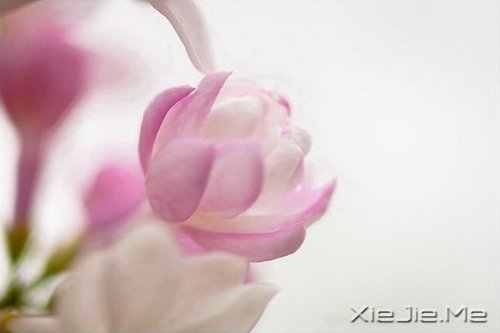 �簲�������Ҫ�ģ����¶������ (7)