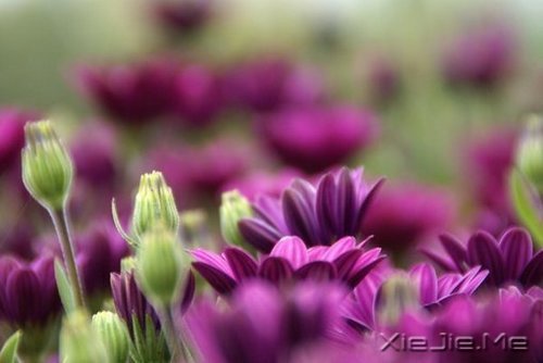 �ʵ��ķ��������������ŵ�ת�� (7)