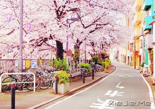 �����������Щ˲�䣬����ů�������� (5)