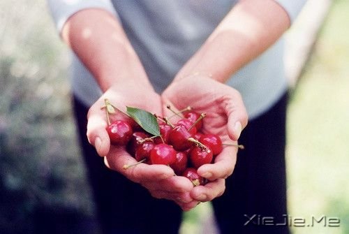 ��������Һ�ƽ�������Ҷ�һ�޶� (3)