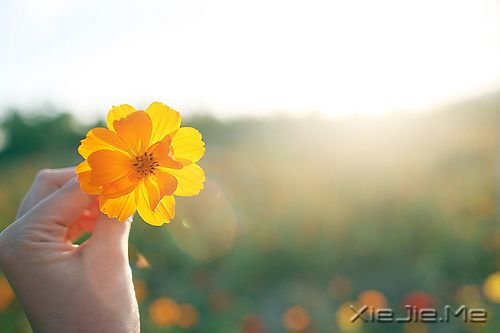 �簲����㿴����̫���ף�������ʧ�����µ����� (1)