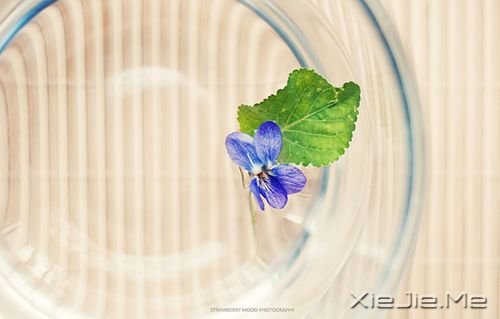 ��������¸����΢Ц��� (2)