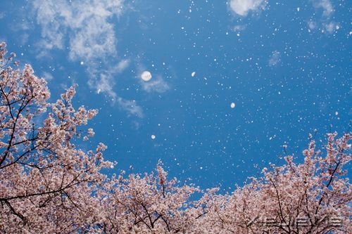 �簲������һ���ǻ��䣬һ���Ǽ��� (10)