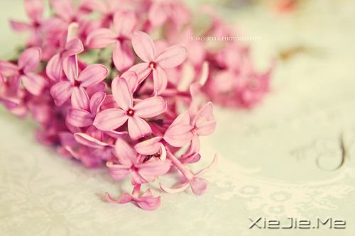 ��������������������������ȥ (7)