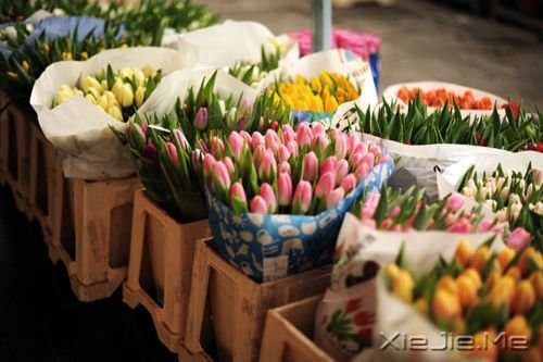 ��������������������������ȥ (9)