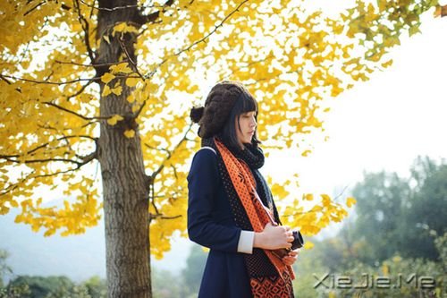 �簲���ֻ��ȫ���Ը������������� (10)