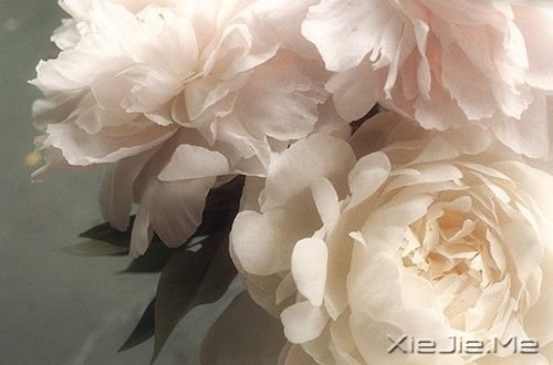 �������������Ҳ������������� (5)