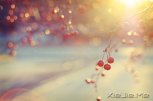 ��������������������Ų��� (2)