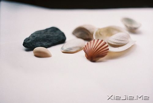 �簲����Ҹ������յ㣬�����ó̵�;�� (10)