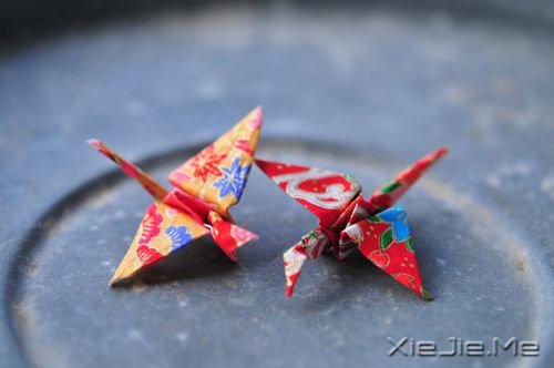 �������������������ź�����δ���������� (1)