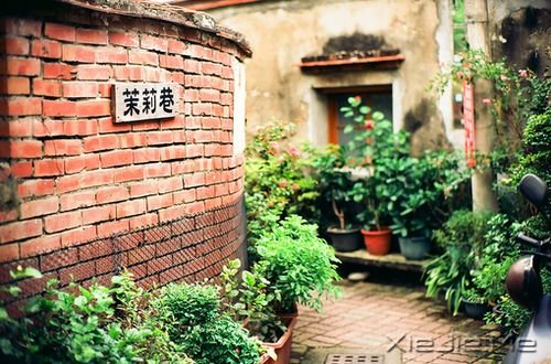 ���������Ҫ������ʵ���Լ� (8)