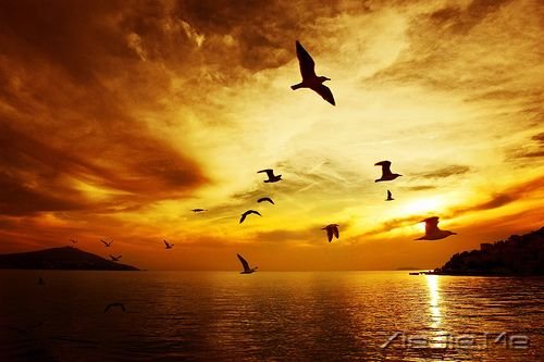 �簲���ͯ��δ������һ��ֵ�ý��������� (4)