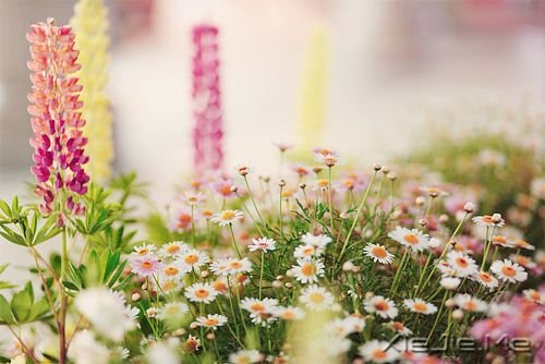 �簲��������ܻ������һ�����ᣬ������������ (9)