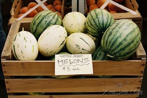 ���������Щ���ԣ����������㲻�̽Ҵ� (9)