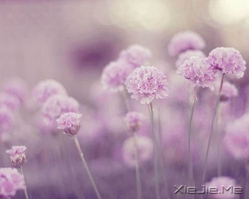 �簲���ֻҪ�����ߣ��ܻῴ������ (5)