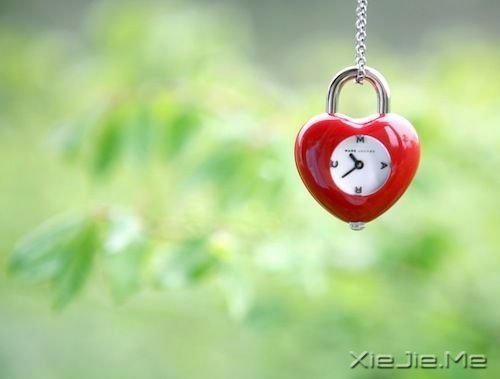 �簲�����Щ���������ң���Щ�����Կ��� (10)