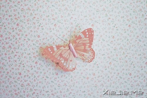 �簲�����Ҫ��Ϊ���˿���������ʧ���Լ� (1)