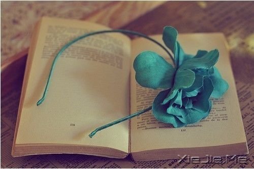 �������ϰ���˼�į֮��һ���˾���ȫ���� (10)