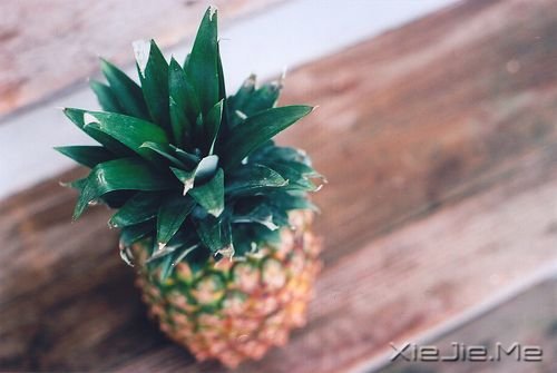 �簲���������Ϊ��ִ�ţ�������Ϊ��ֵ�� (3)