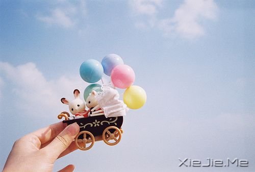 ���������Ĭ��ֻ������ľ��� (1)