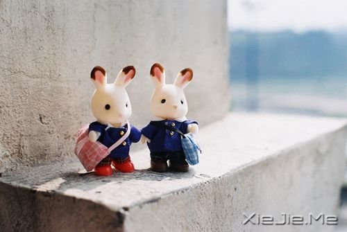 ��������۶��Ǳ��˸��ģ����˶����Լ��õ� (6)