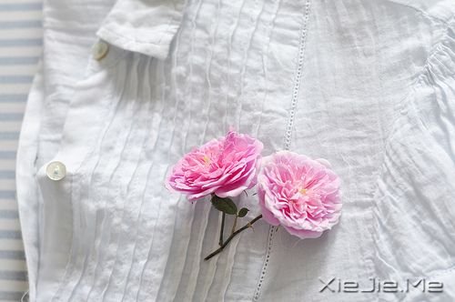 �簲������Լ������������Ŀ�ʼ (7)