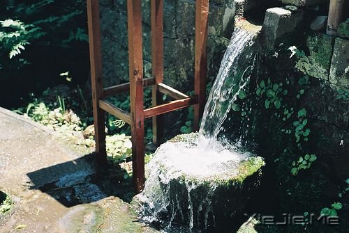 ��������Щ������ �����ĵĸ�� (4)