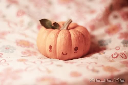 С����ͼƬ (7)