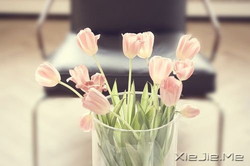 С����ͼƬ (4)