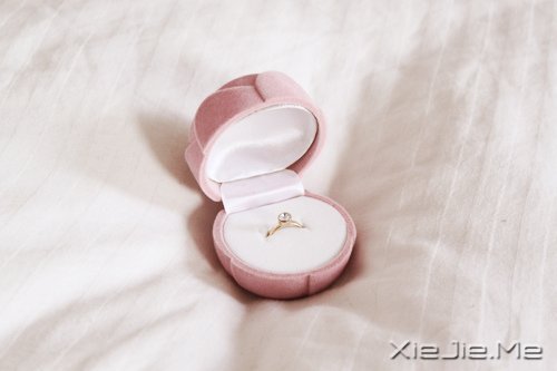 ����������������������� (5)