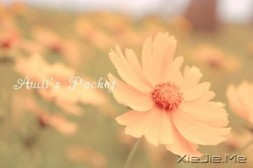 �簲���˼�����ǣ�������� (9)