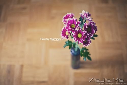 ���ǿ��������⣬�ֺ��±�����