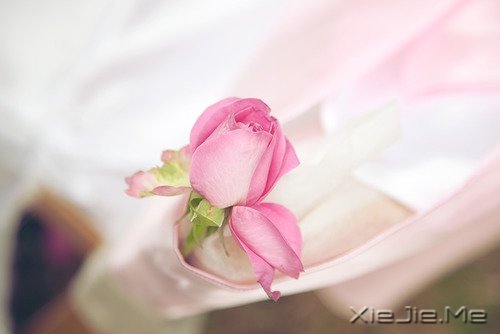 10����ů��Ӣ�ĸ����Ƽ� (2)