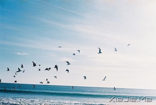 ��־���£�ӵ��������˲���ѡ���⣬����ֻ��֤����