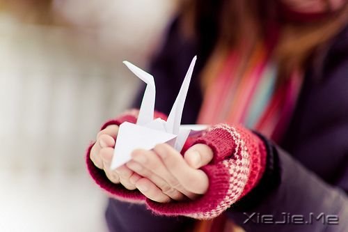 ���ʱ��ͣ������ (2)